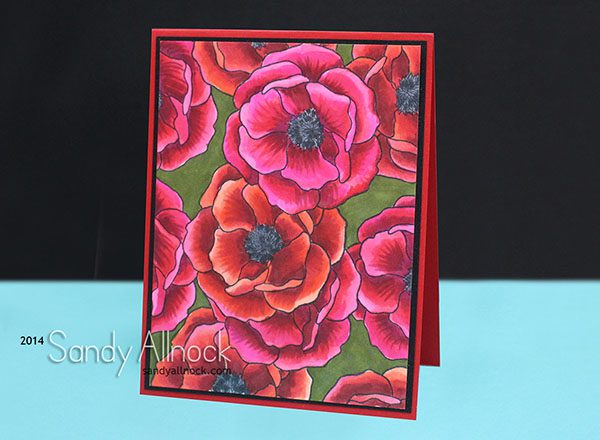 Sandy Allnock Pretty Peonies2