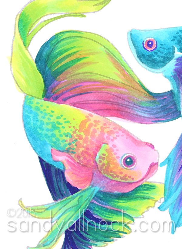 Sandy Allnock - Rainbow Betta Fish2