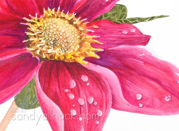 Sandy Allnock - Just One Petal - watercolor flowers series 6