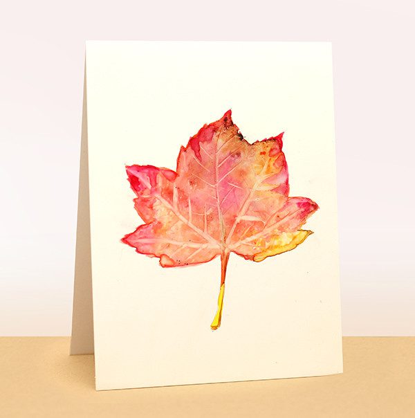 yupo wc leaf