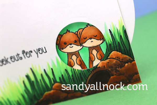 Sandy Allnock Spinning Wheel Card3