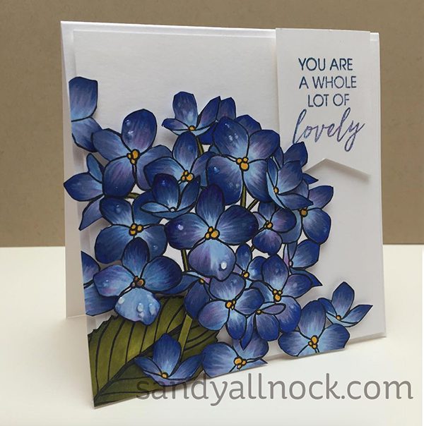 Sandy Allnock Mondo Hydrangea