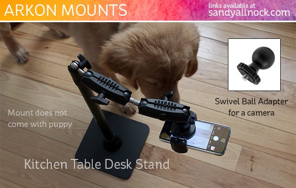 sandy-allnock-arkon-stand-gift-guide