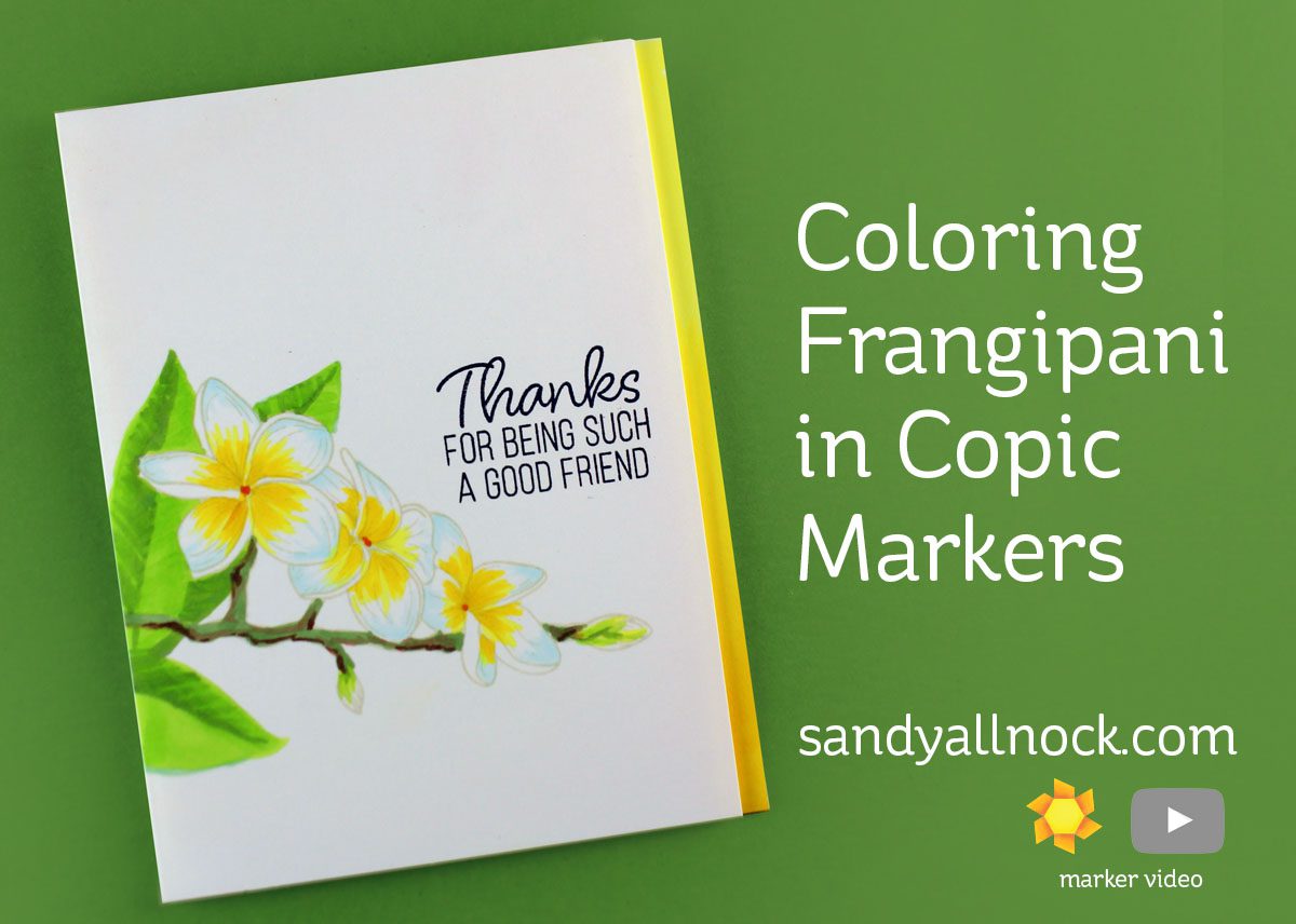 Coloring Frangipani in Copic Markers by Sandy Allnock