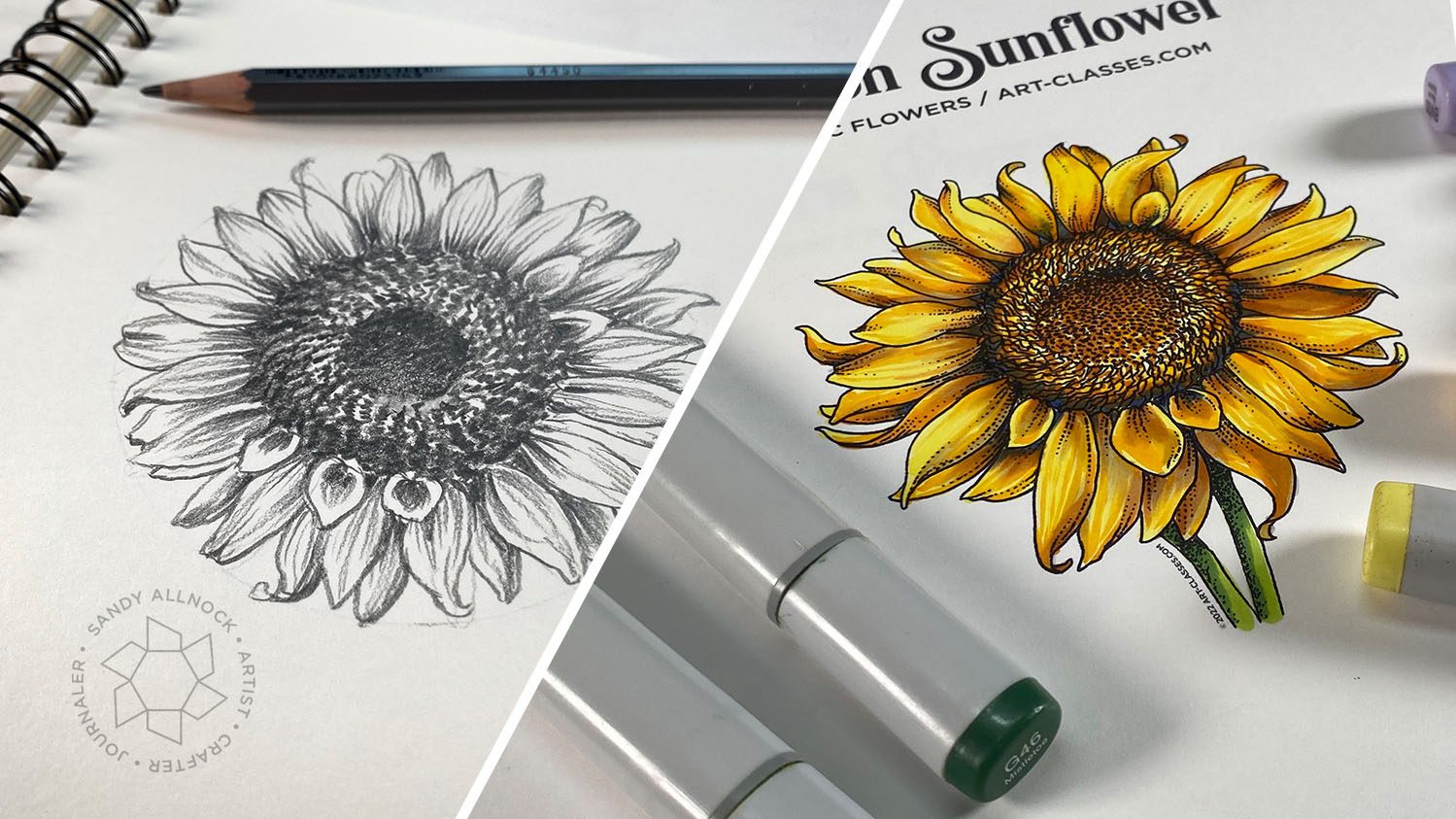 Sunflowers: How to draw one + freebies to color + new Copic flower class