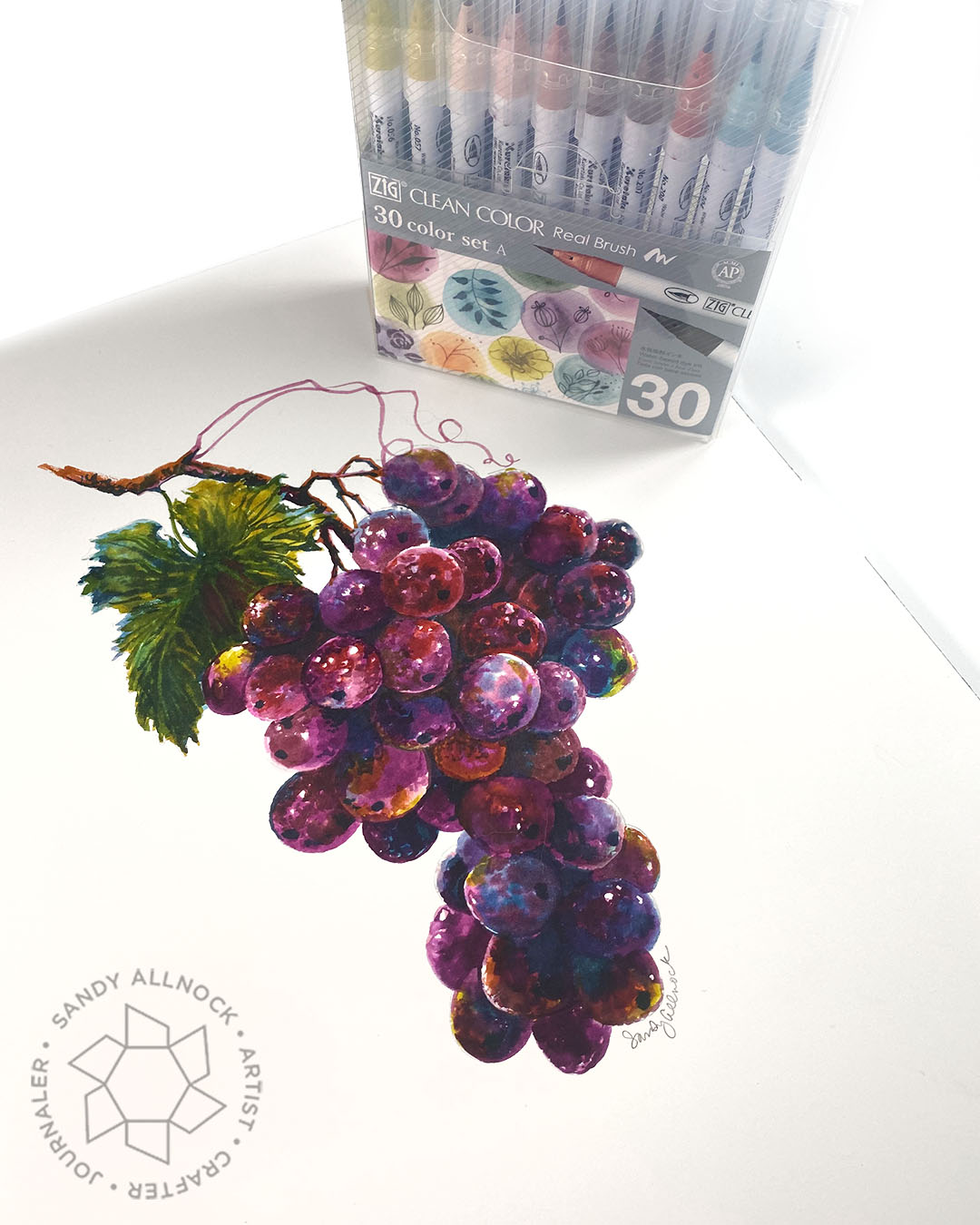 ペン画作品（手描き・水彩着色）「Grape」 Sandy-Allnock-Realistic-Grapes