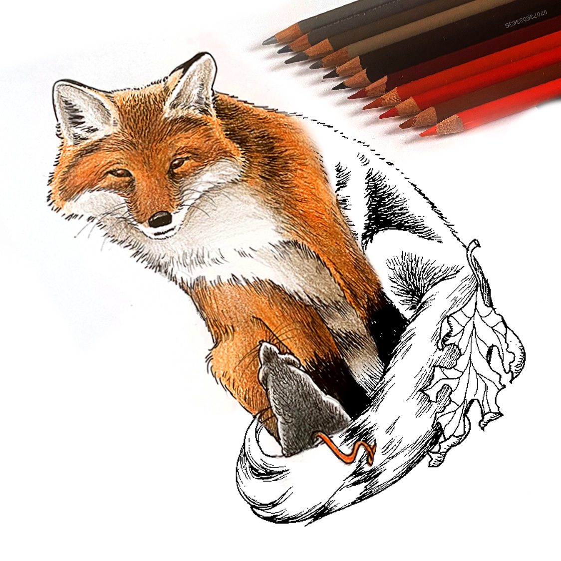 FoxAndMouse