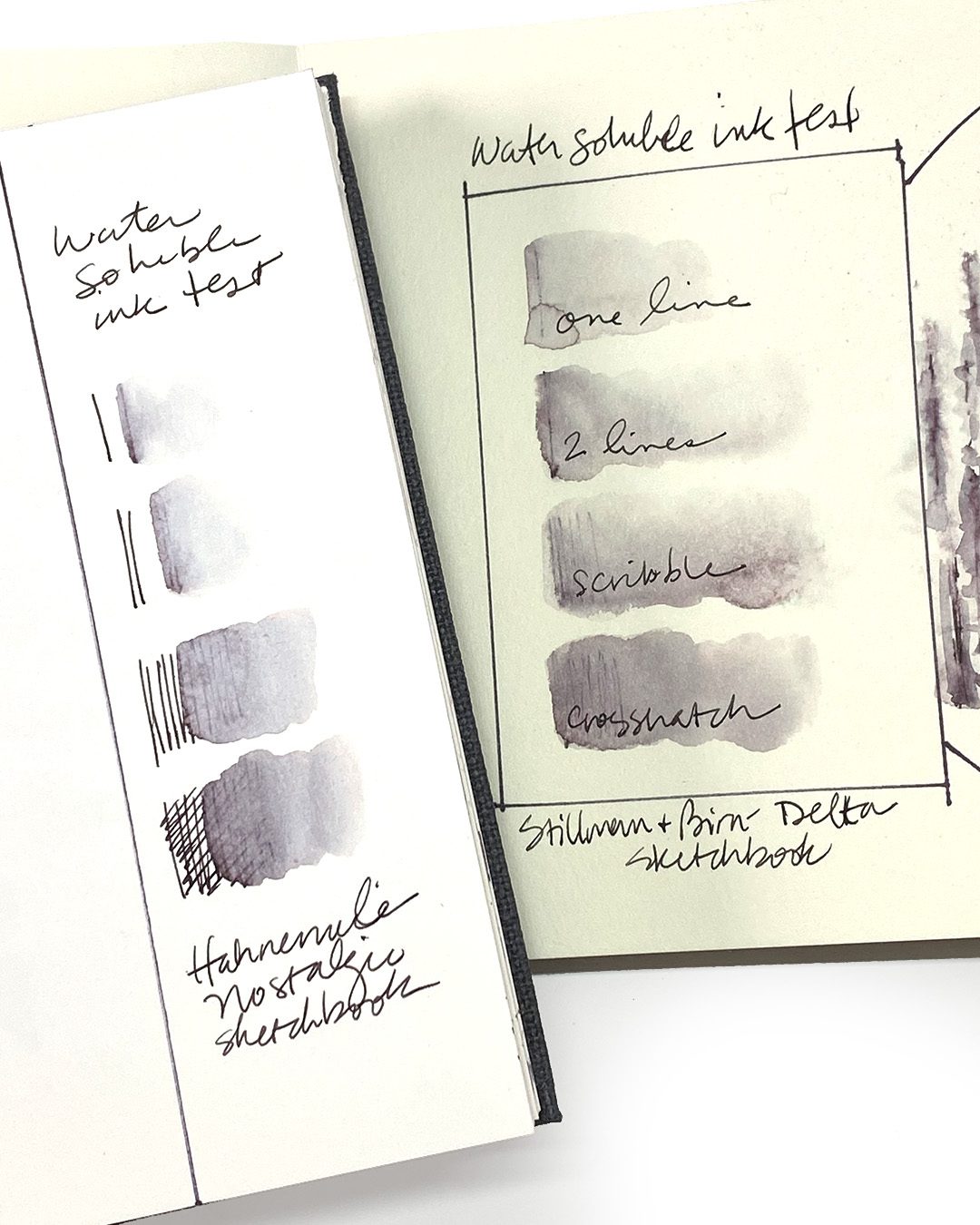 Sandy Allnock Sketching with water soluble inks 1