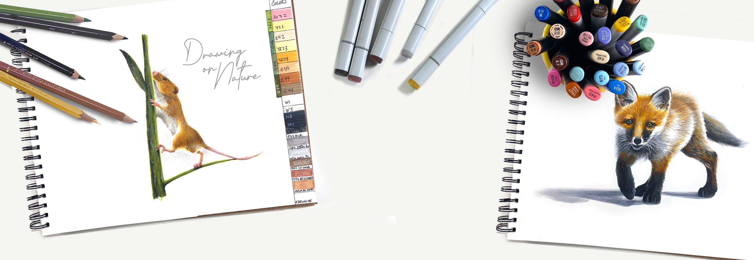 header drawing on nature