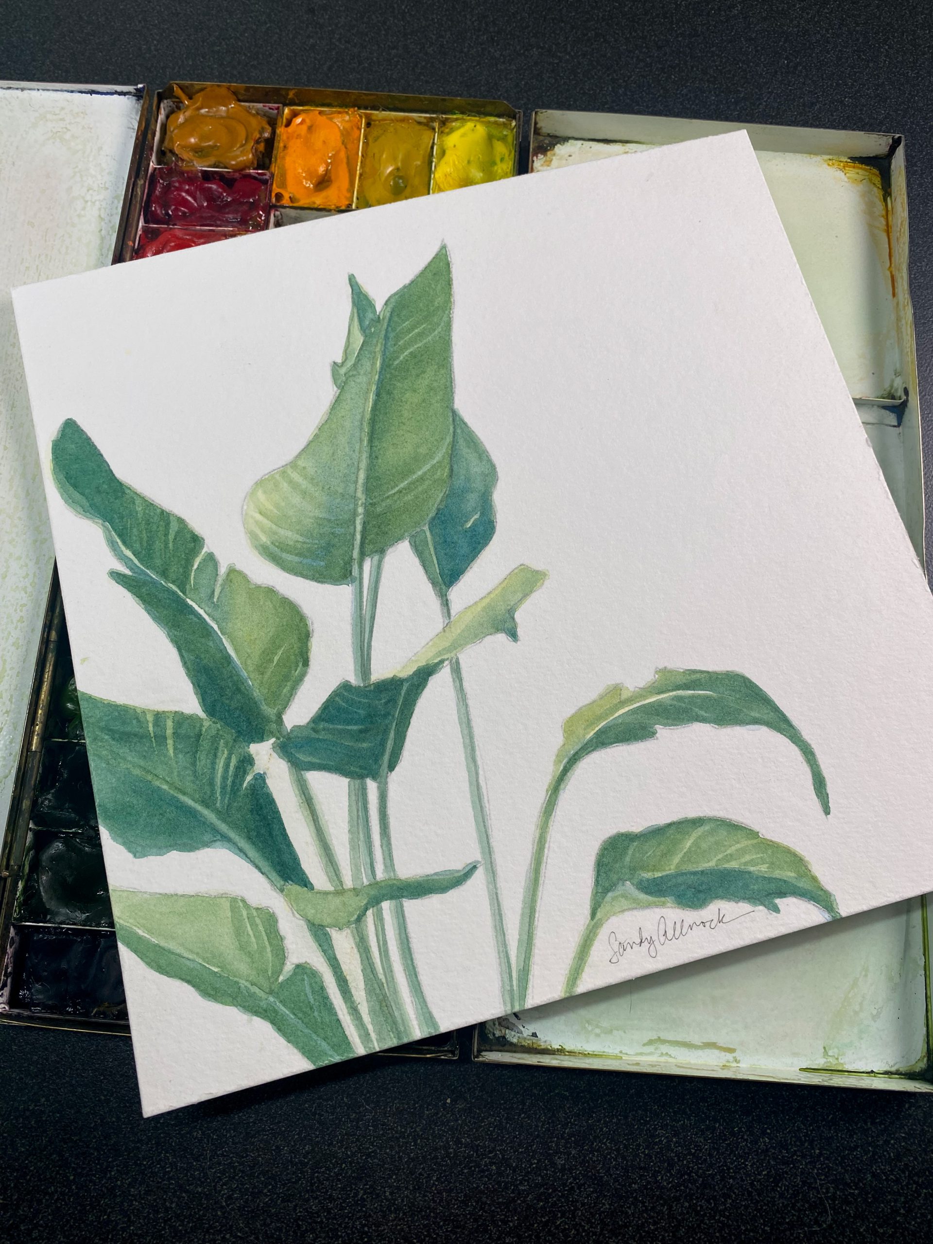 Sandy Allnock Fluid leaves