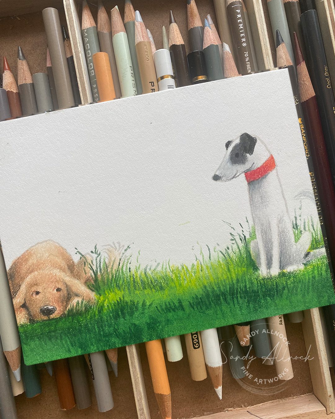 bestinme staypawsitive