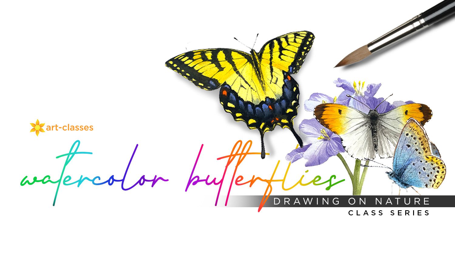 Butterflies 1 main