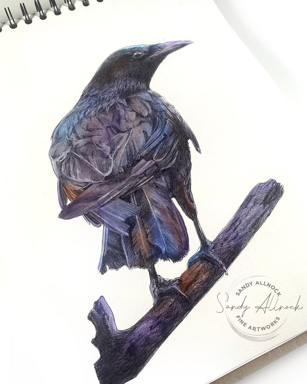 Sandy Allnock Drawing with a $100 ballpoint 2