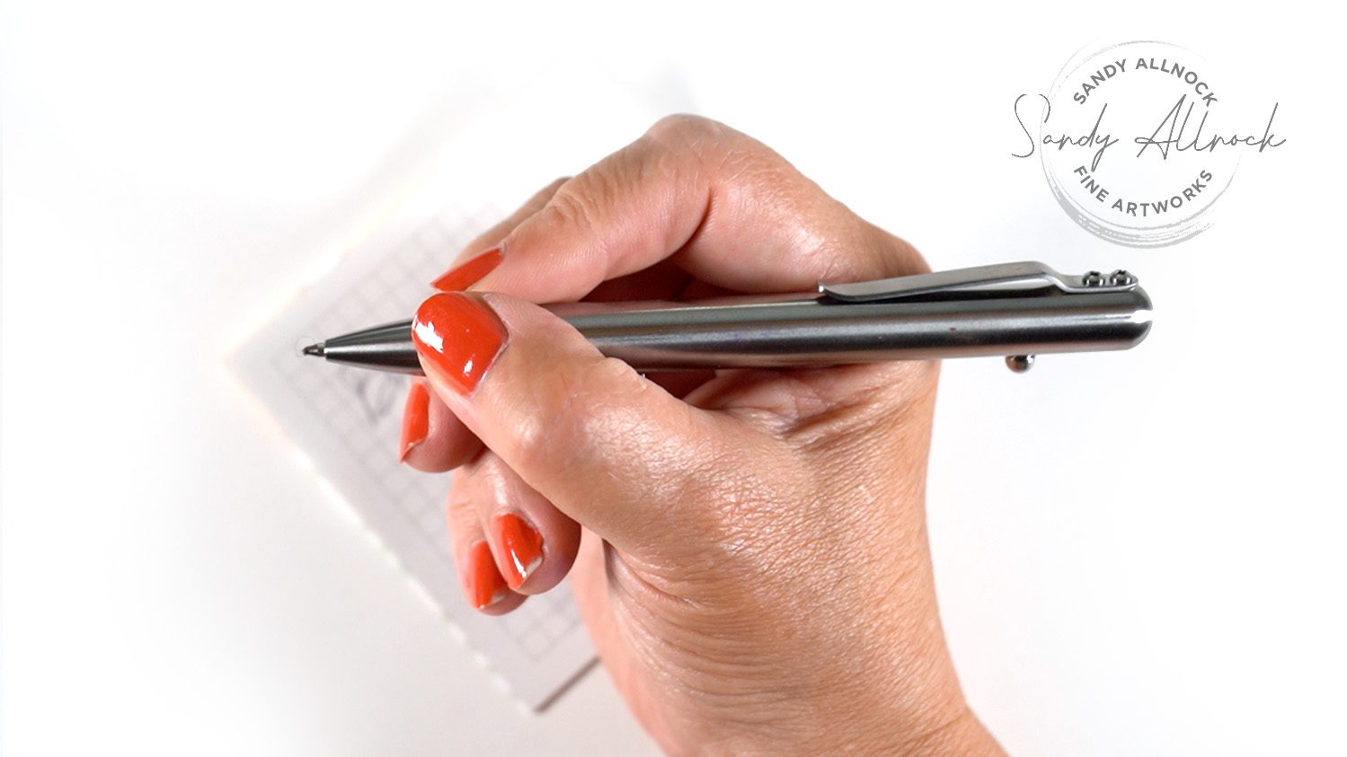 Sandy Allnock Drawing with a $100 ballpoint