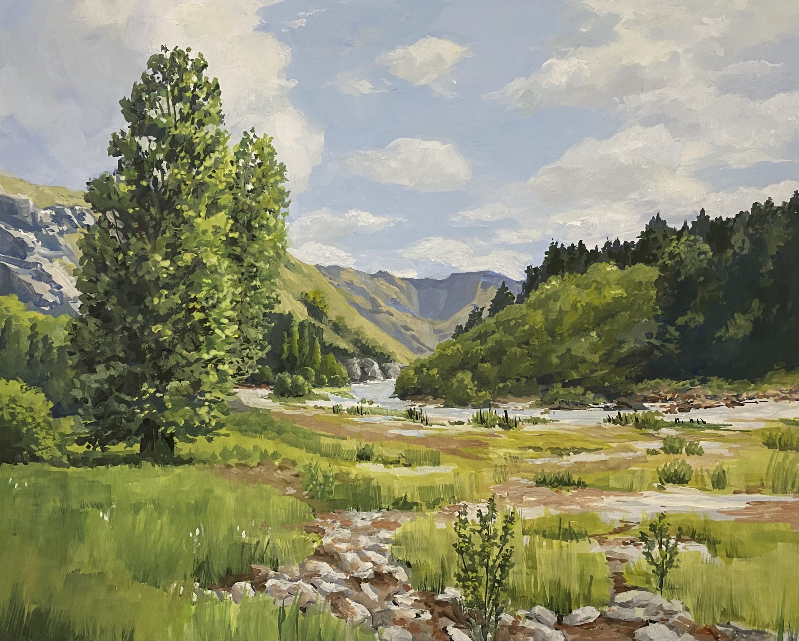 NZ River Valley