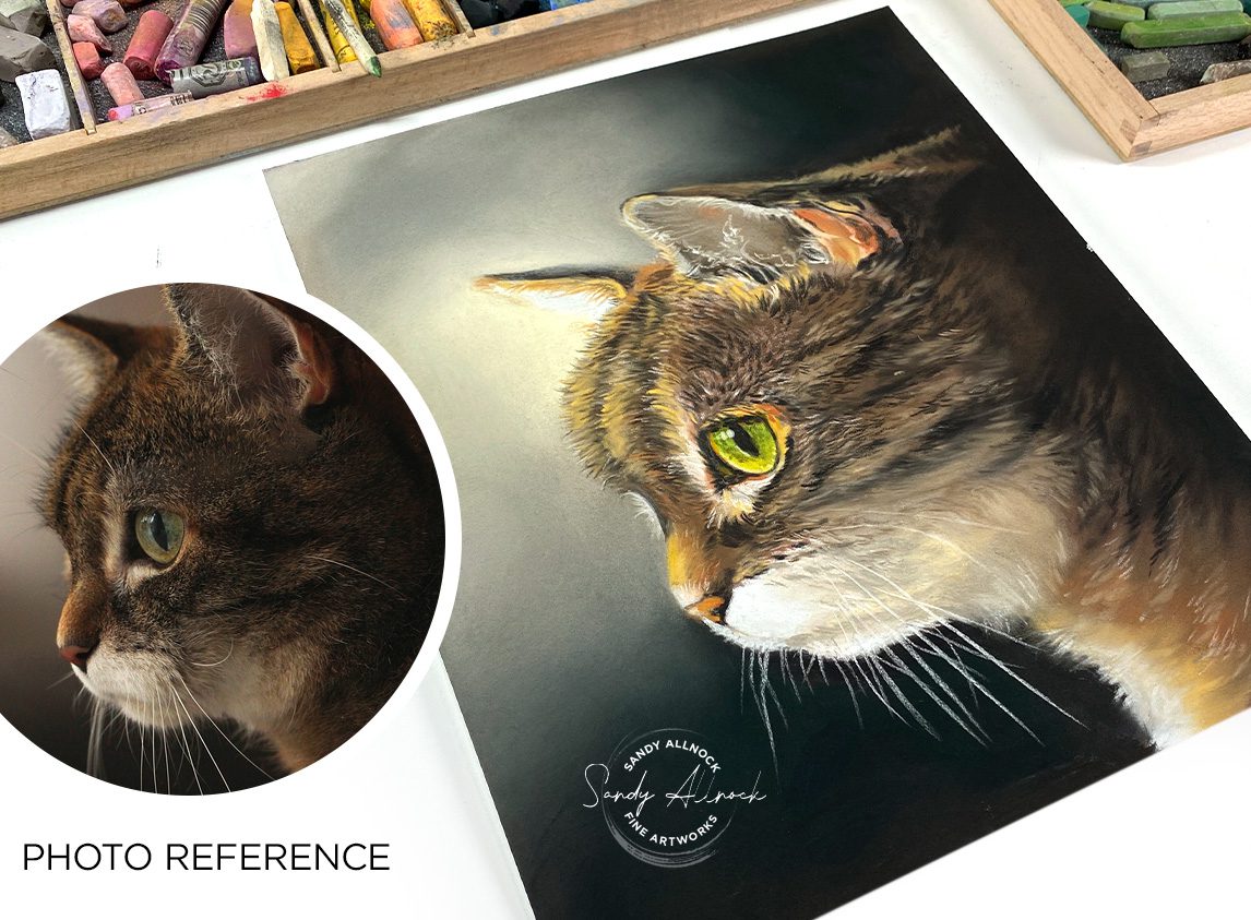 Sandy Allnock catto1