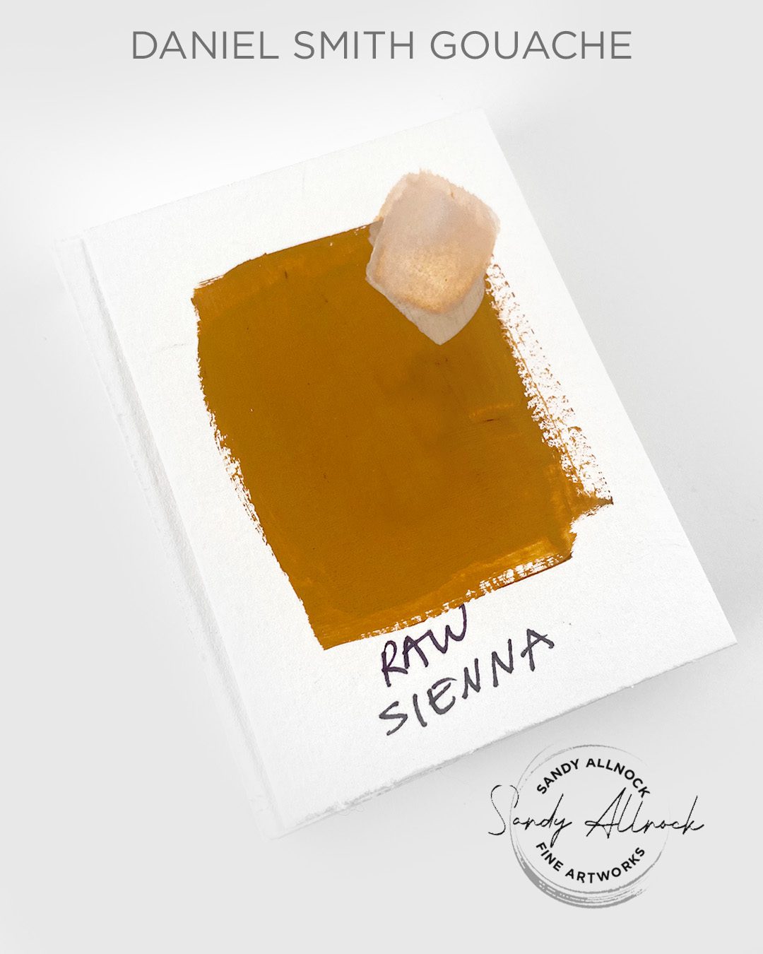 DS gouache raw sienna