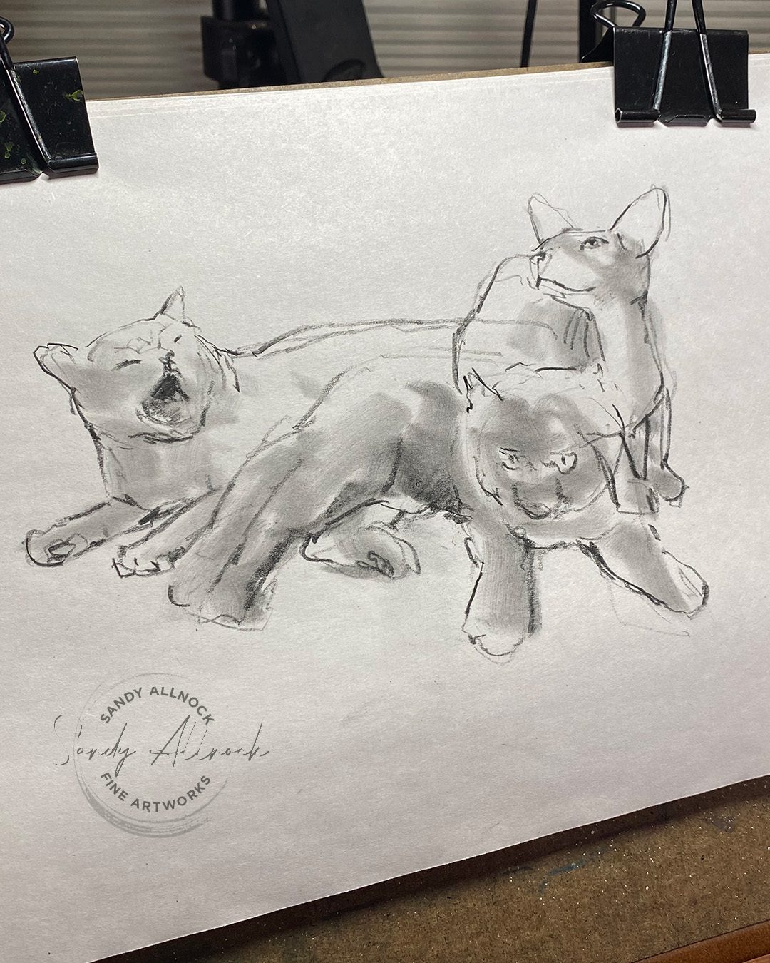Sandy Allnock 2Minute Gesture Drawings cats3