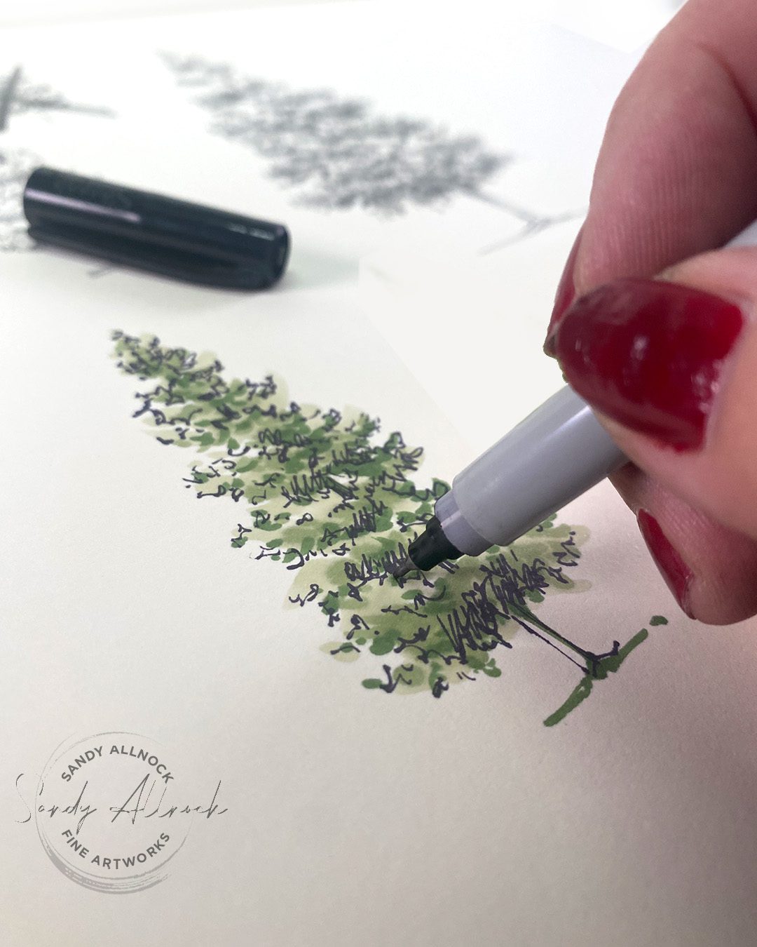 Sandy Allnock How not to draw pine trees 4