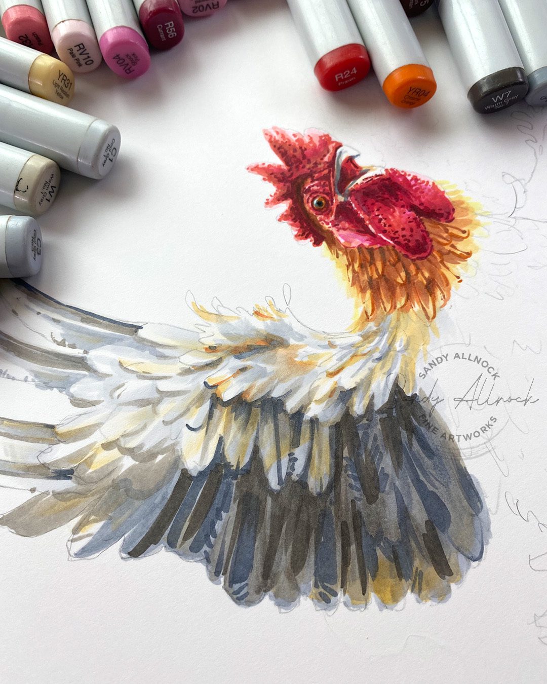 Sandy Allnock Copic Feathering 2