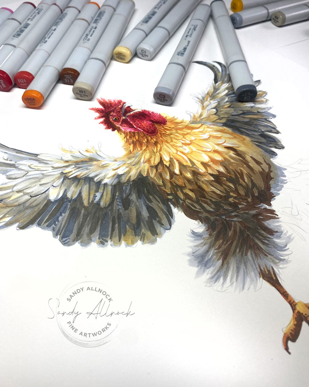 Sandy Allnock Copic Feathering 4