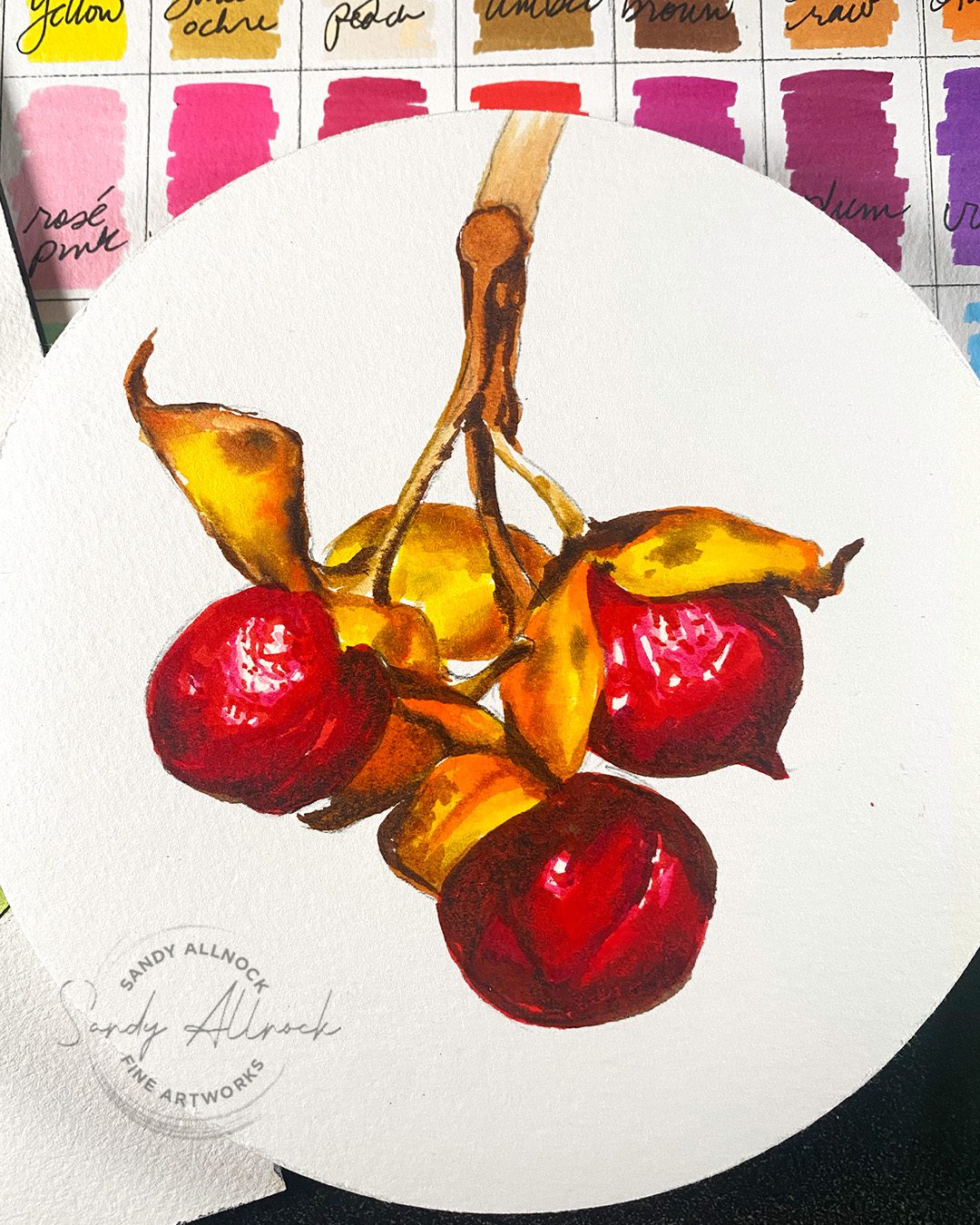Sandy Allnock Pigment Pens 4