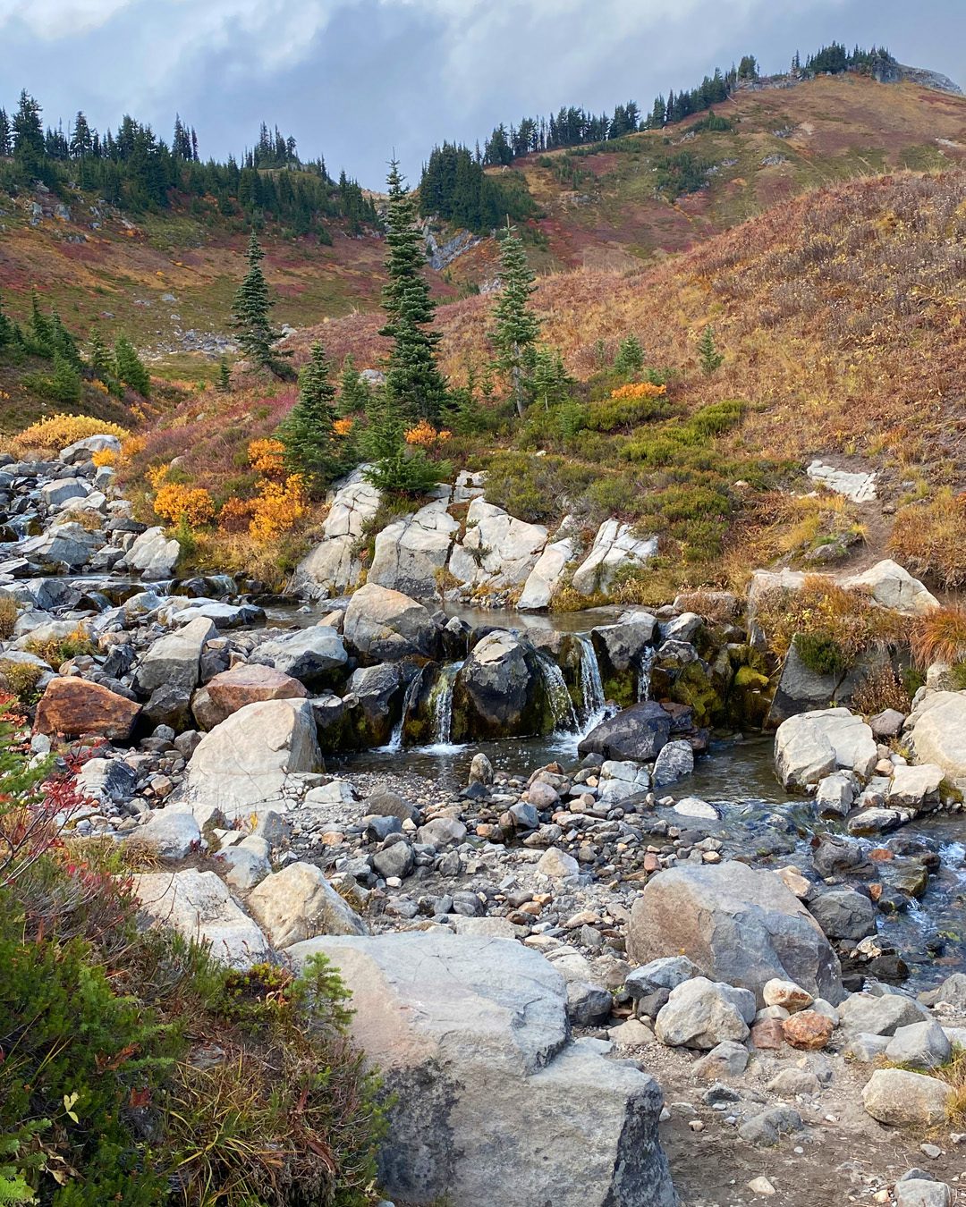 MYRTLE FALLS