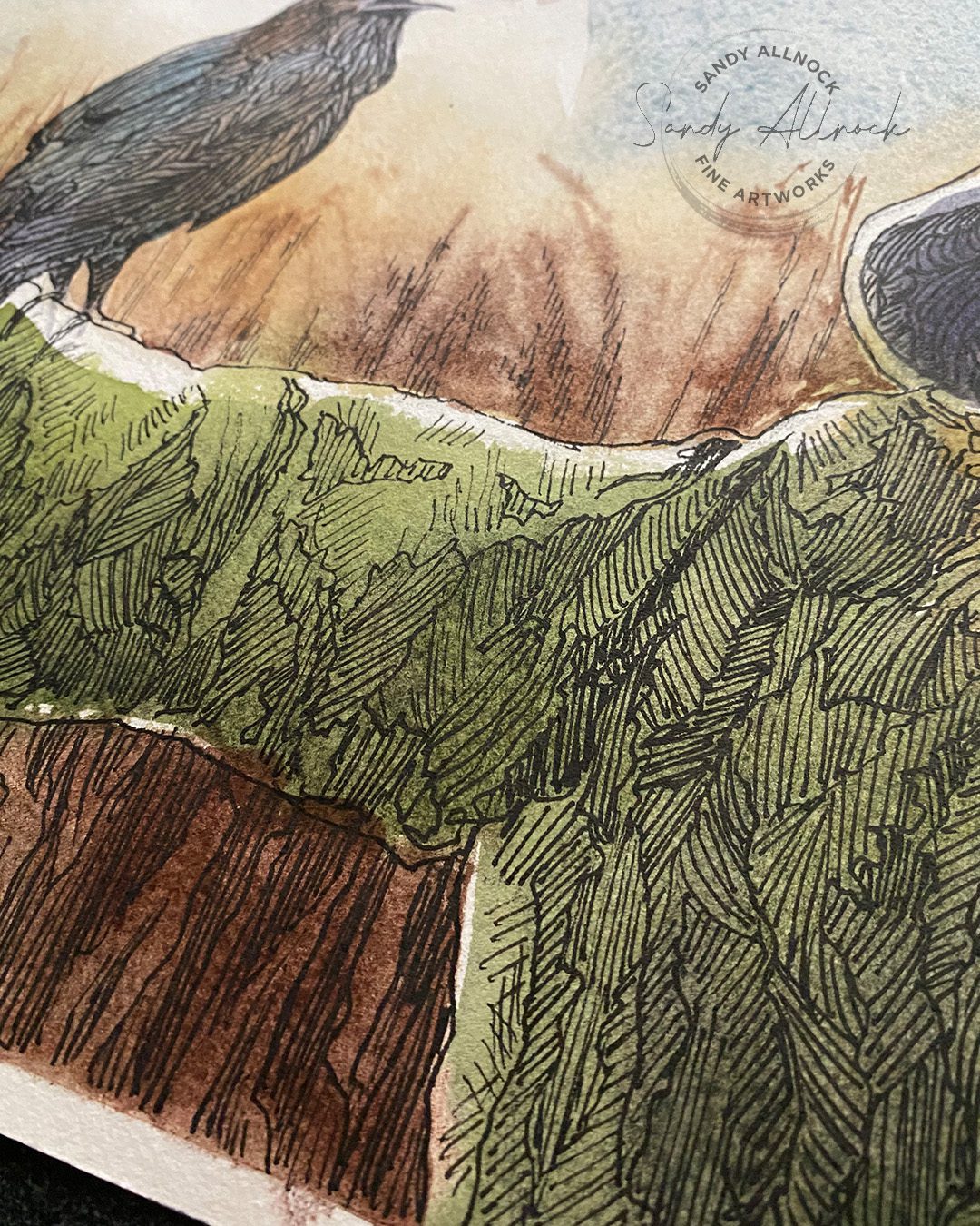 Sandy Allnock ink drawings flow 4