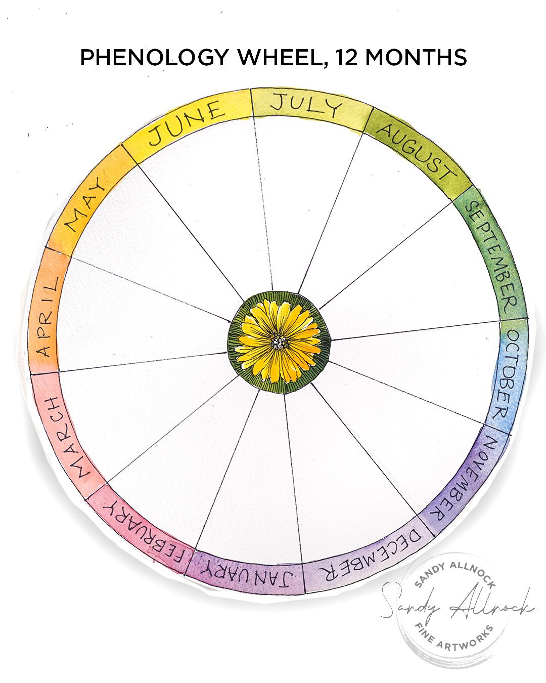 Sandy Allnock Phenology Monthly wheel