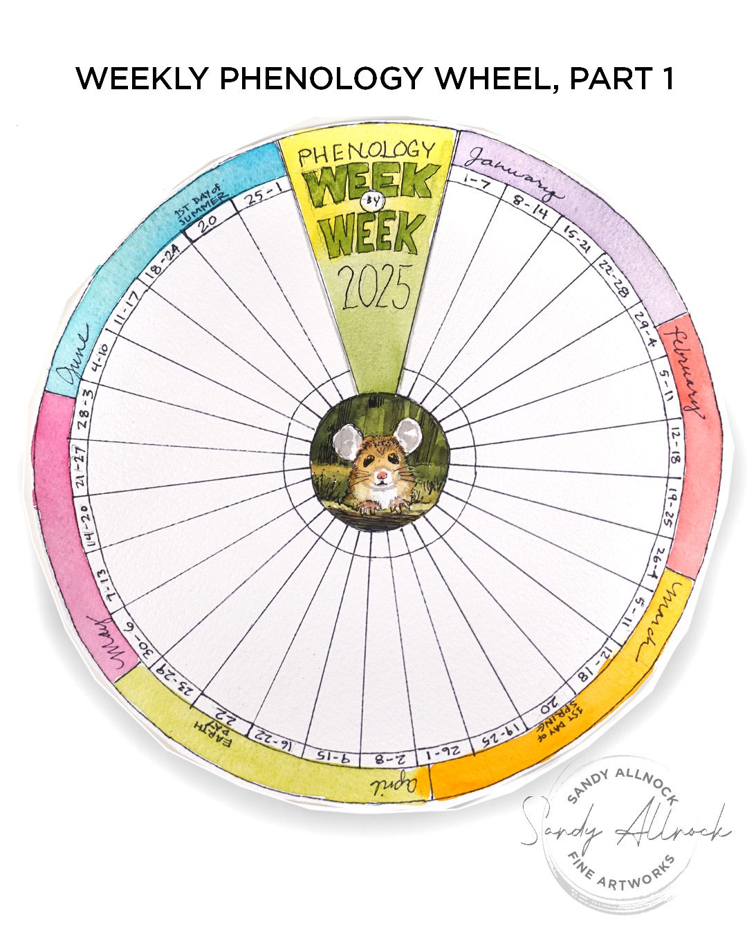Sandy Allnock Phenology Weekly 1