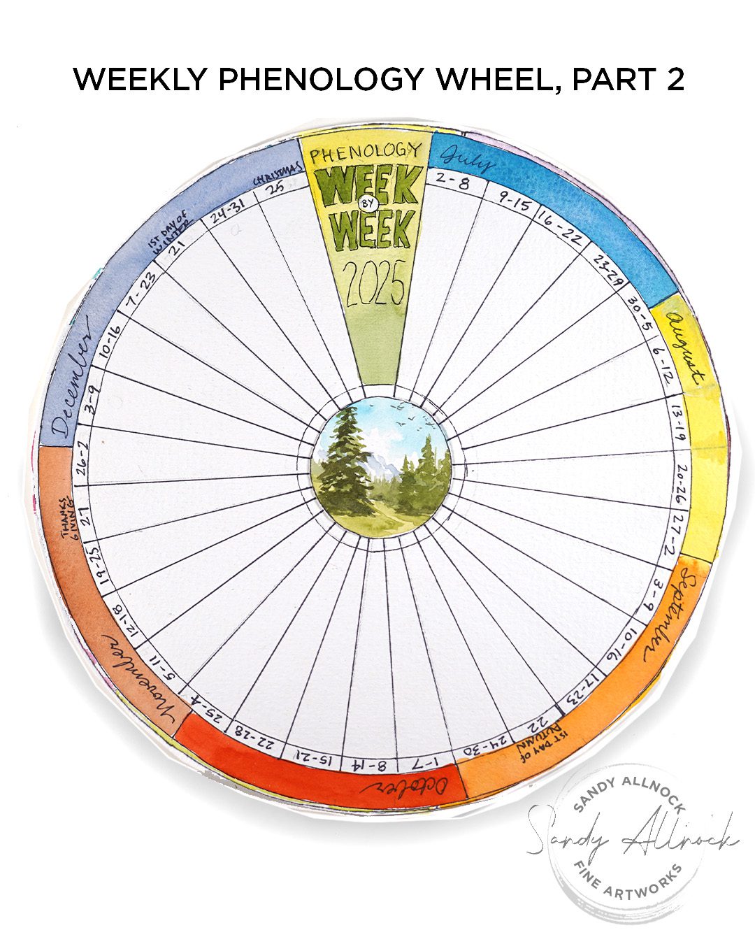 Sandy Allnock Phenology Weekly 2
