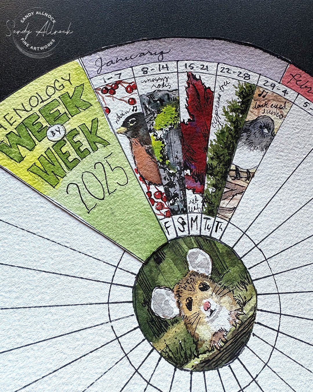 Sandy Allnock Phenology Update 2 c
