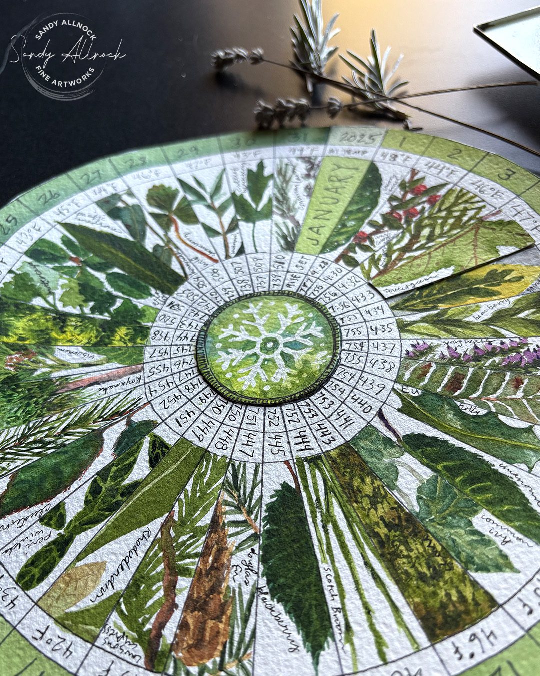Sandy Allnock Phenology Update 2 d