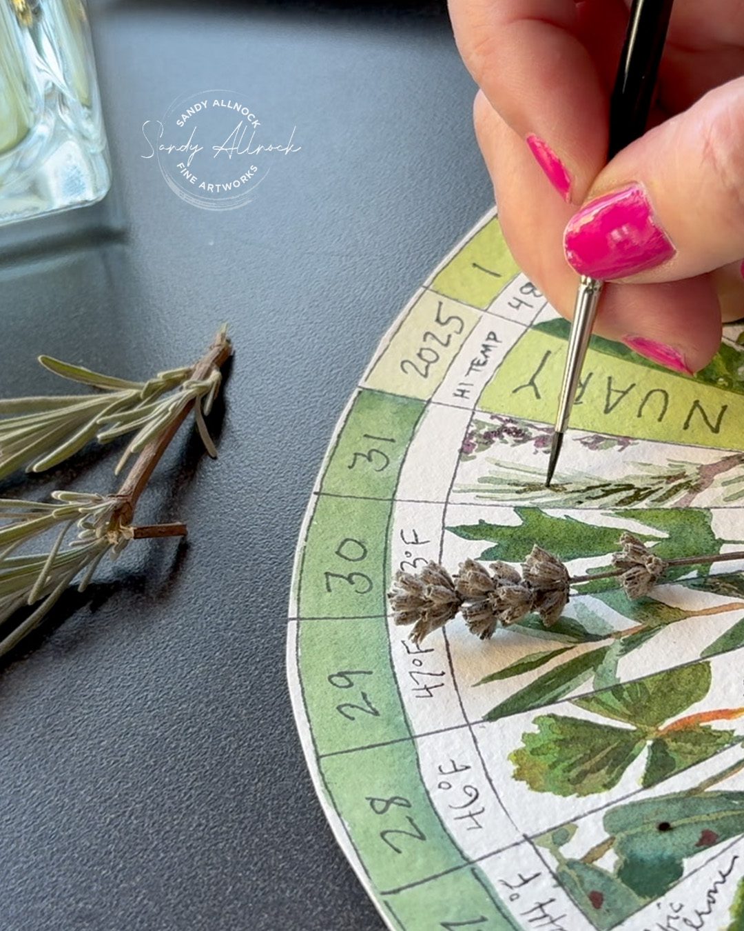 Sandy Allnock Phenology Update 2 e