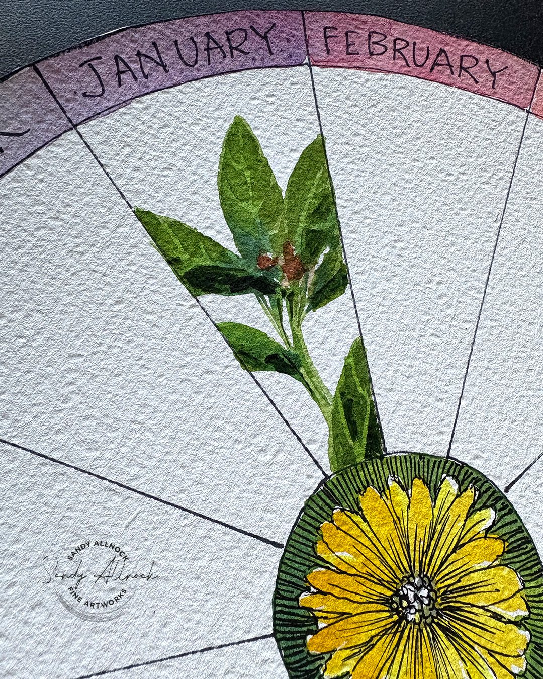 Sandy Allnock Phenology Update 2 g