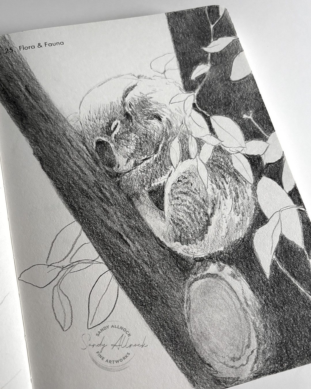 koala
